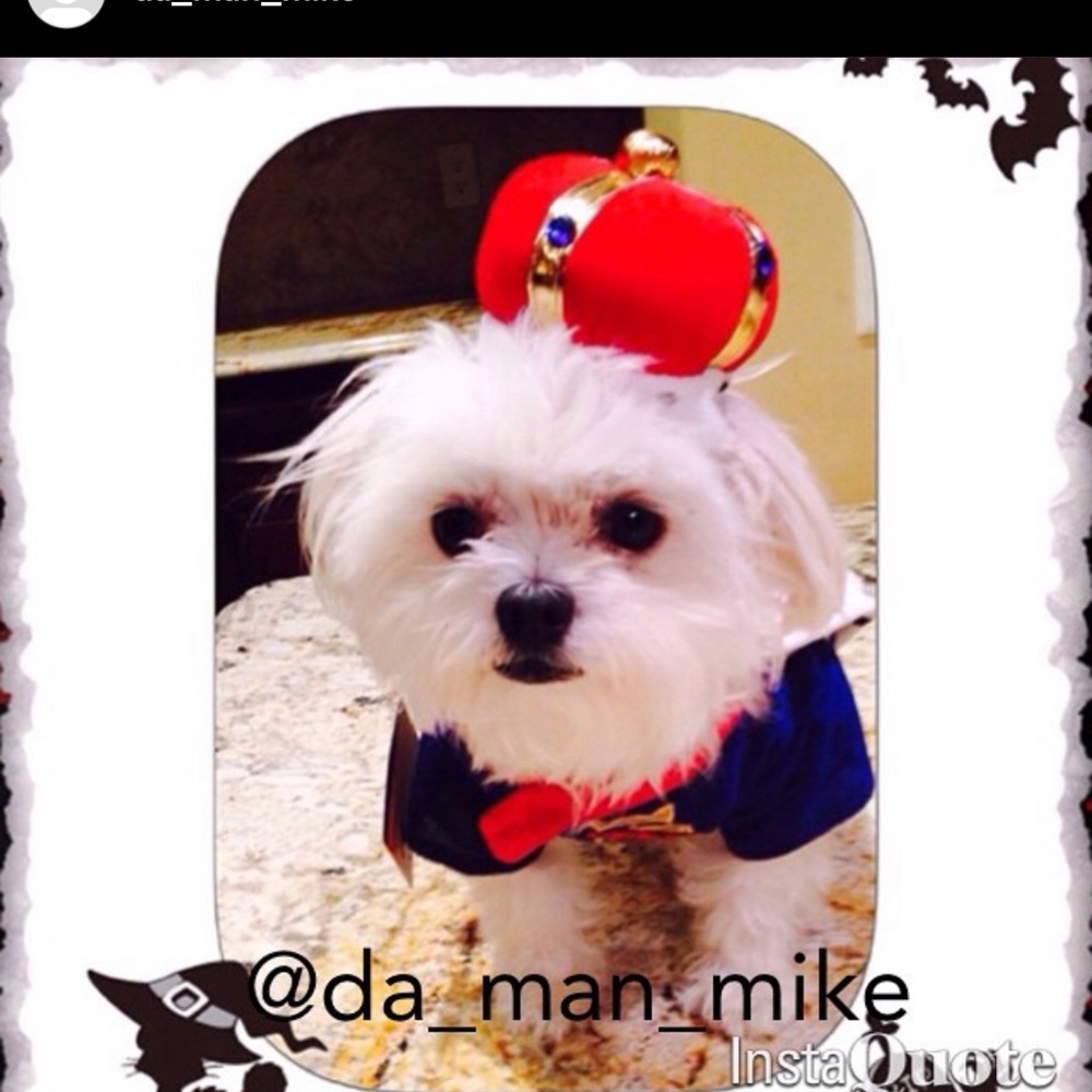 Costumes - Picture 5 of 8